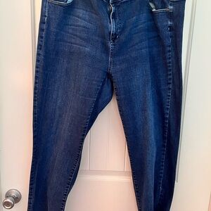 J.Jill Slim Boyfriend Straight Leg Jeans Size 22